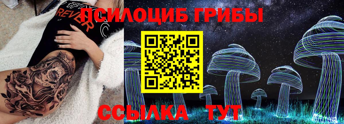 Светлоград  Псилоцибиновые грибы GOLDEN TEACHER  Вход с VPN  Галлюциногенные грибы Magic Shrooms 