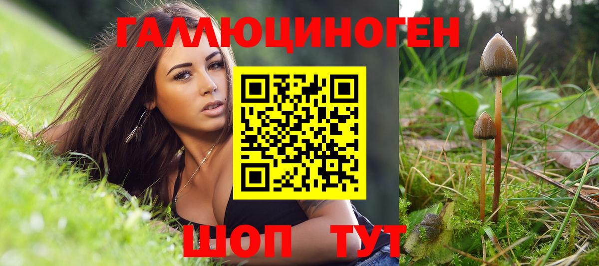 Галлюциногенные грибы Magic Shrooms Светлоград