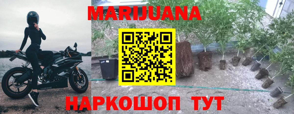 Светлоград  Канабис MAZAR  Канабис Bruce Banner  Вход с VPN  Бошки марихуана VHQ  МАРИХУАНА марихуана 